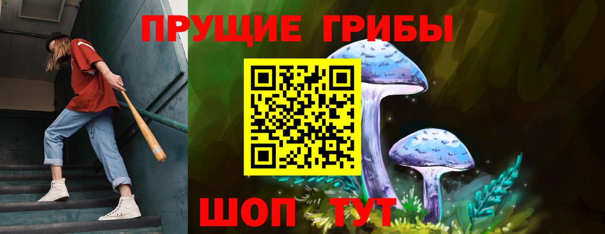 Гусь-Хрустальный  Псилоцибиновые грибы мицелий  Вход с VPN  Галлюциногенные грибы прущие грибы 