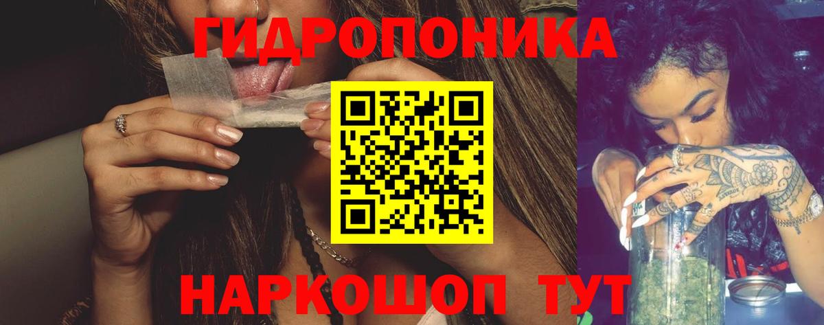 Бошки марихуана гибрид Гусь-Хрустальный